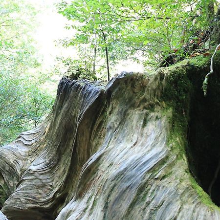 Miyanouraso Ξενοδοχείο Yakushima  Εξωτερικό φωτογραφία