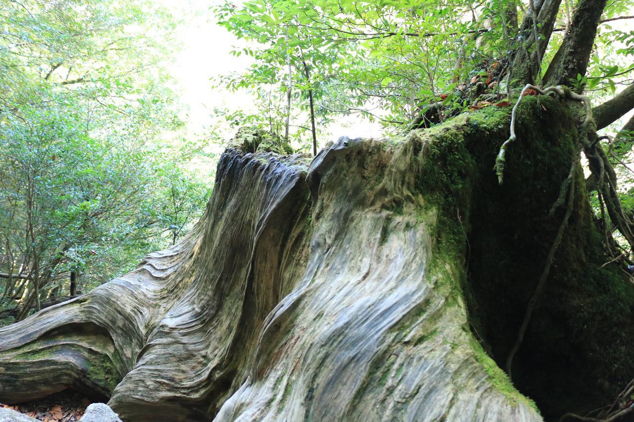 Miyanouraso Ξενοδοχείο Yakushima  Εξωτερικό φωτογραφία