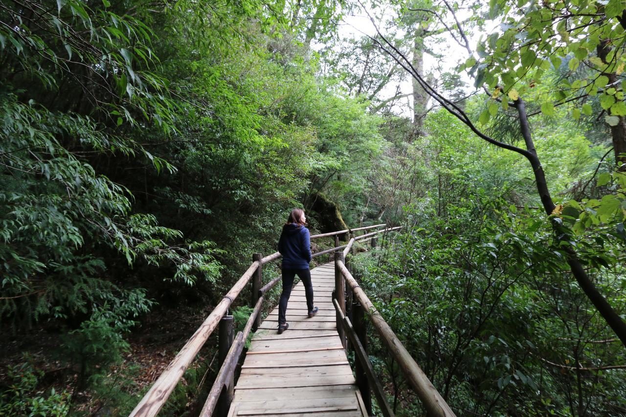 Miyanouraso Ξενοδοχείο Yakushima  Εξωτερικό φωτογραφία